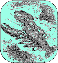 free-crawling lobster in ocean deep