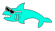 cool shark, man